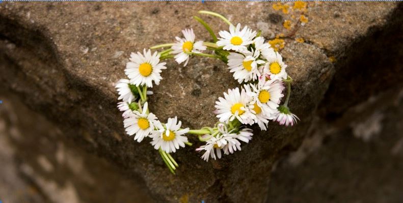 Daisy Chain